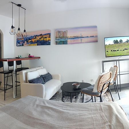 Estudio Centro Malaga Terraza Y Barbacoa 外观 照片